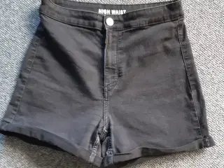 Str. 164 High Waist Shorts
