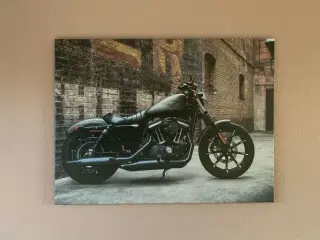 Harley billede 70x100 cm