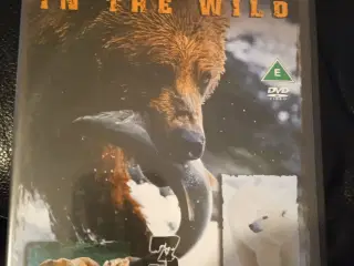 Big Bears natur film