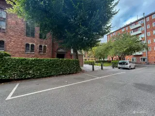 Parkeringspladser - Falkonervænget 1-33. Frederiksberg
