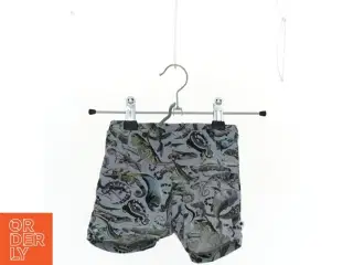 Shorts fra Molo (str. 80 cm)