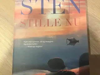 Viveca Sten - Stille nu