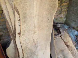 store planker