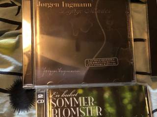 Div. kunstner