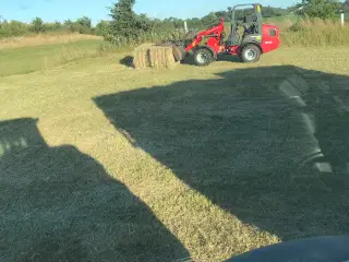 Hø i minnibig. 