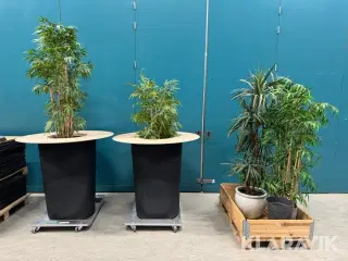 Eventborde med planteindsats