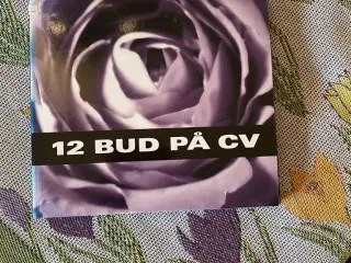 12 bud på CV