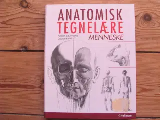 Anatomisk tegnelære Menneske