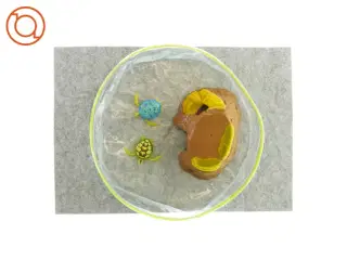 Badebassin med 2 Skildpadder