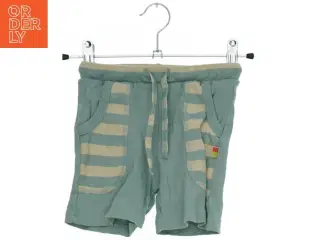 Børne shorts fra Katvig (str. 92)