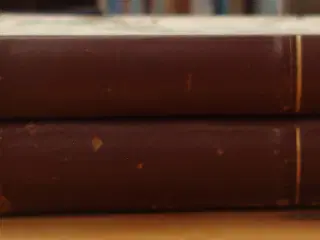 Danmarks Frihedskamp bind 1+2