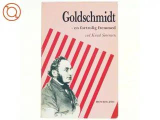 Goldschmidt - en fortrolig fremmed af Knud Sørensen (bog)