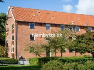 Hjembytte - Lindeager