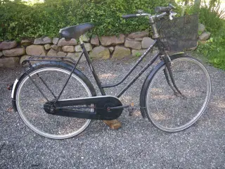 Cykel