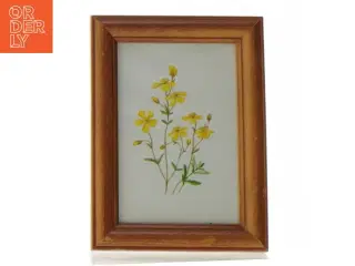 Indrammet billede med blomstermotiv (str. 19 x 14 cm)
