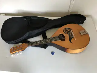Mandolin medtaske