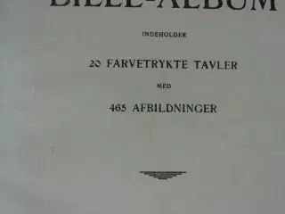 roms bille-album, emne: dyr