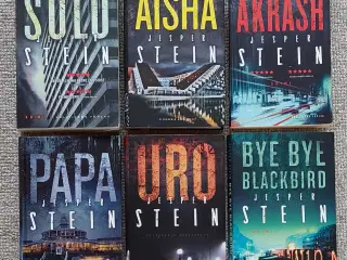 Jesper Stein: Solo, Papa, Aisha, Akrash, Bye Bye B