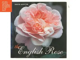The English rose af David Austin