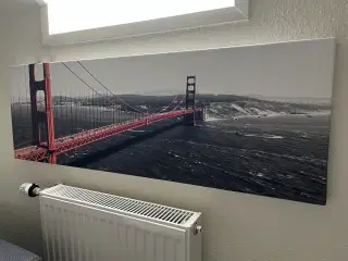 Billede, Golden Gate, 120 x 40