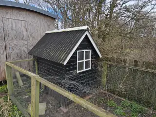 Høns/kyllinghus 