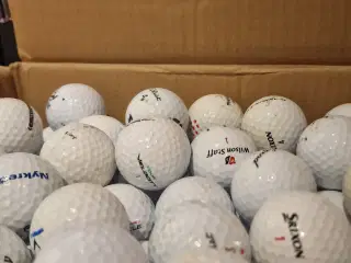 Golfbolde 