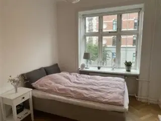 Cosy room in the heart of Frederiksberg