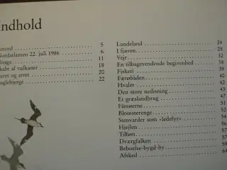 færøerne - himmel og hav - fjeld og fugle, af ole 