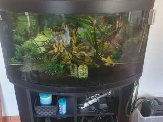 Aquarium, 260liter*mener jeg*