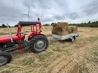 Små Øko Halmballer Morten Korch 