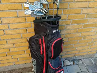 Golden Bear herre golfsæt 