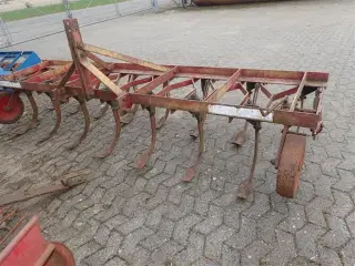Primoplex 17 tand