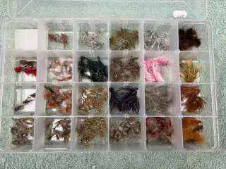 Kystfluer fra Henrik Agerskov