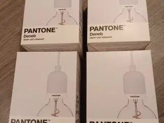 Pantone Pendler