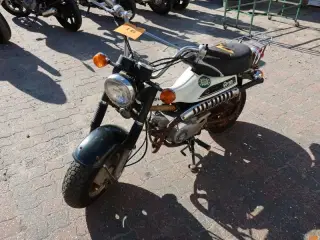 KNALLERT, Suzuki