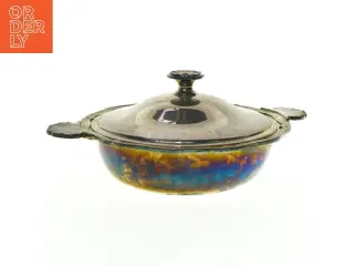 Terrin med låg (str. 32 x 13 cm)