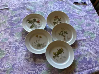 7stk. Faxe Flora frokosttallerken.
