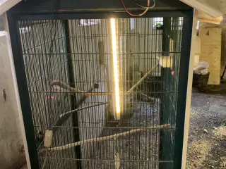 Fugle bur med lys