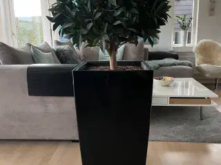 to kunstige træer i høje blomsterpotter