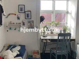 Hjembytte - Stakkesund