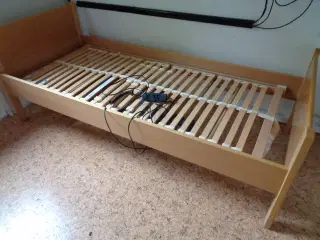 Elevationsseng