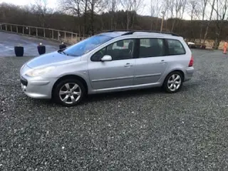 Ny syn  Peugeot 307  1,6 I St. Car 2007  Km kun 21