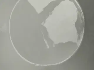 Bodum glasskål. Hvid