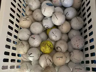 Golfbolde