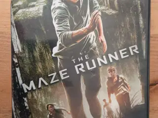 The Maze Runner, på DVD.