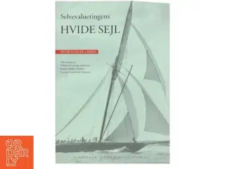 Selvevalueringens hvide sejl (Bog)