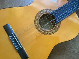 Guitar HOMER HC-05
