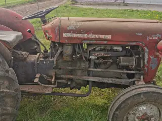 Ferguson 35 benzin 