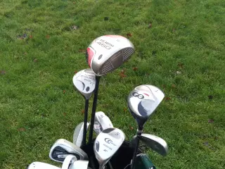 Golfbag incl 12 jern, køller, putter +"fiskestang"