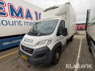 Kølebil Fiat Ducato 2.3 MJT 150 Chassis